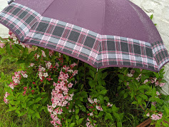 an umbrella of healing love